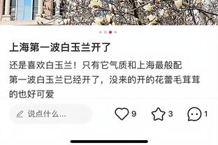 开云电子官方app下载截图4